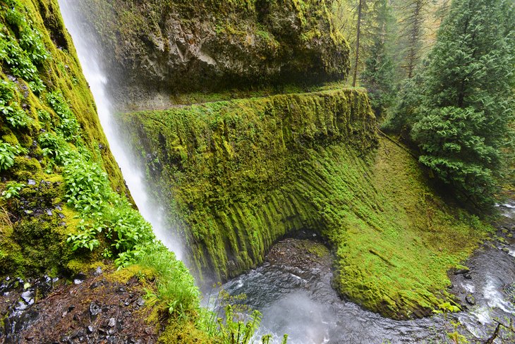 10 mejores cascadas cerca de Portland, Oregón