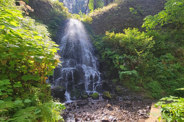 Fairy Falls, up the trail from Wahkeena Falls