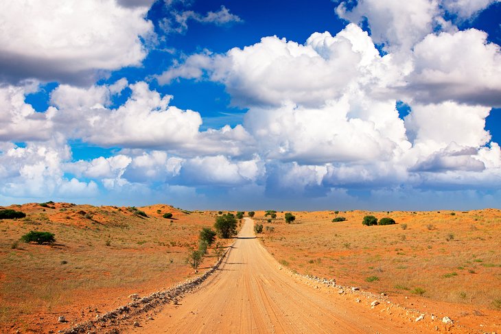 Kgalagadi Transfrontier Park