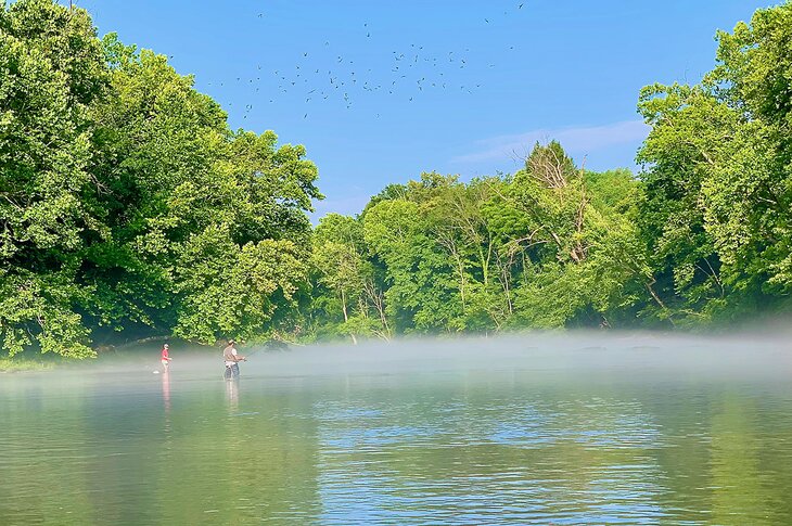 Anglers on the South Holston River