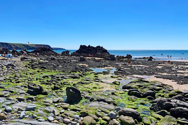 Rock pools near Tenby