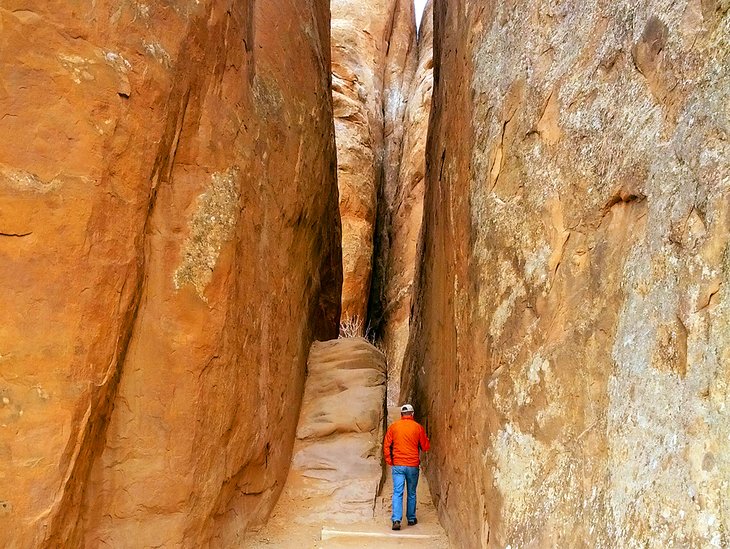 The hike to Sand Dune Arch