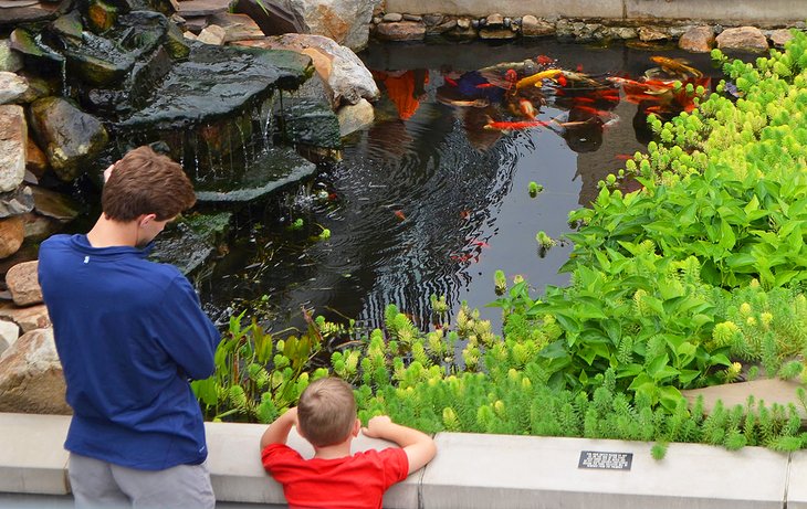 Kids visiting the Koi Pond at Center in the Square