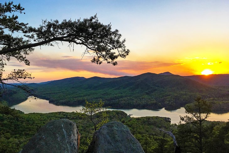 Carvins Cove Natural Reserve