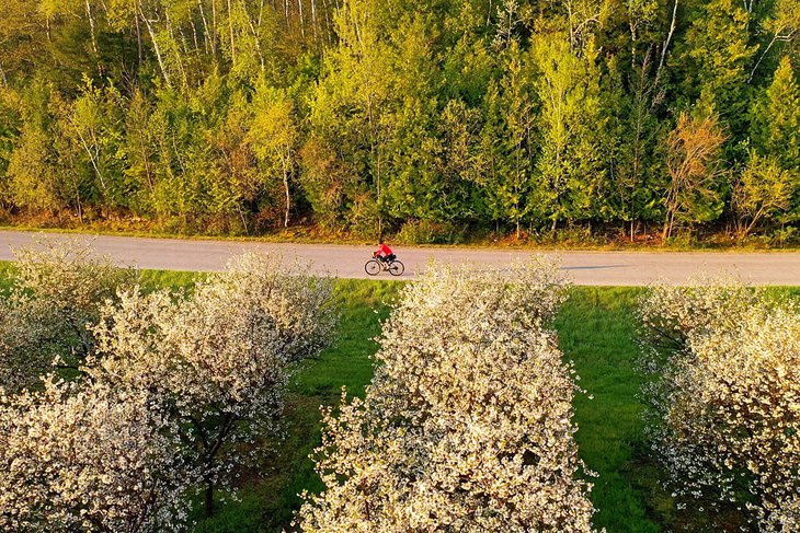 Cyclist on a scenic backcountry road in Door County