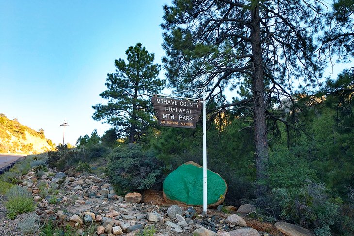 Hualapai Mountain Park