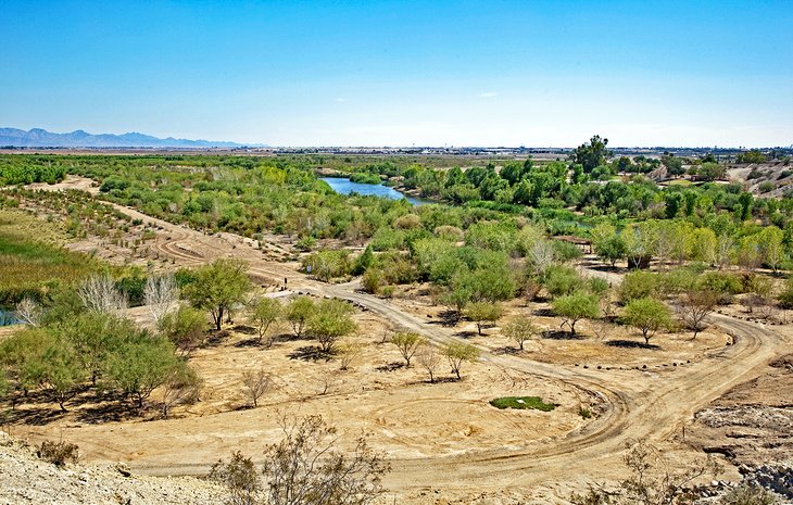 Yuma East Wetlands