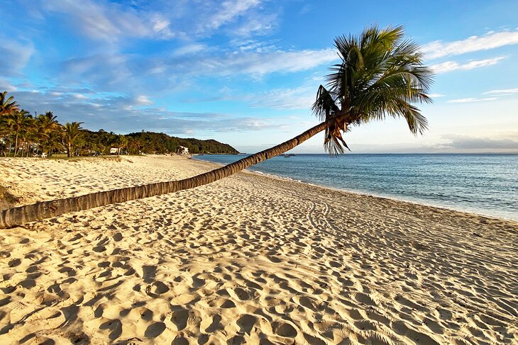 Beach at Tangalooma Island Resort on Moreton Island