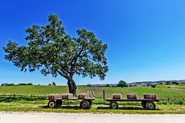 Farm in Paso Robles