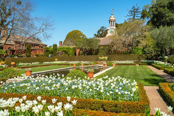 Filoli Garden