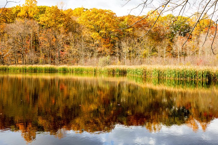 Birge Pond in Bristol, Connecticut