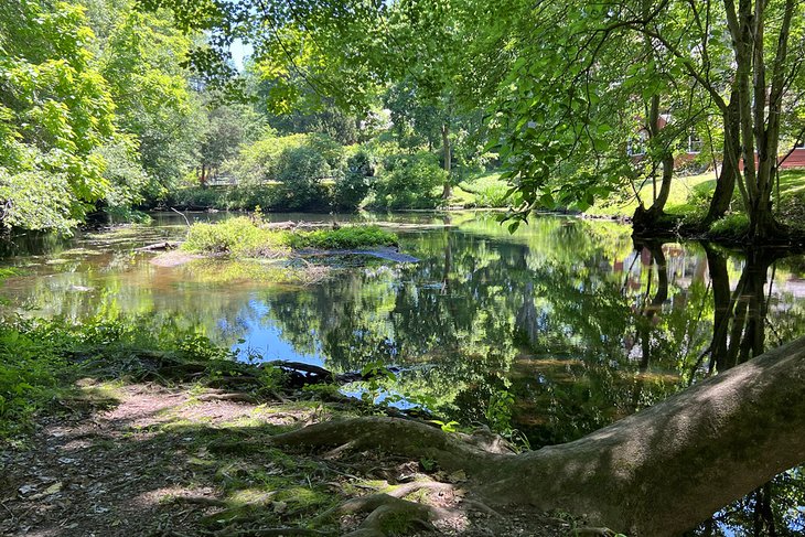 Perry's Mill Ponds