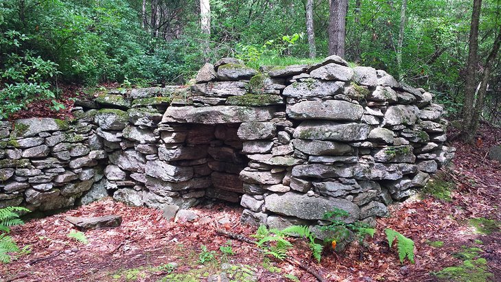 Stone structure at Gungywamp