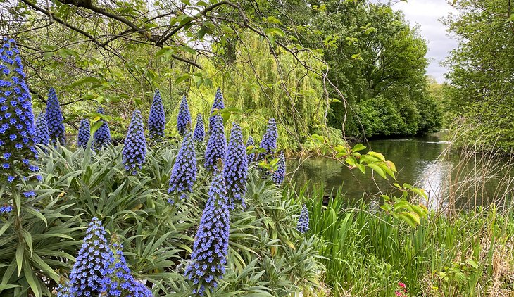 11 mejores jardines públicos en Londres, Inglaterra
