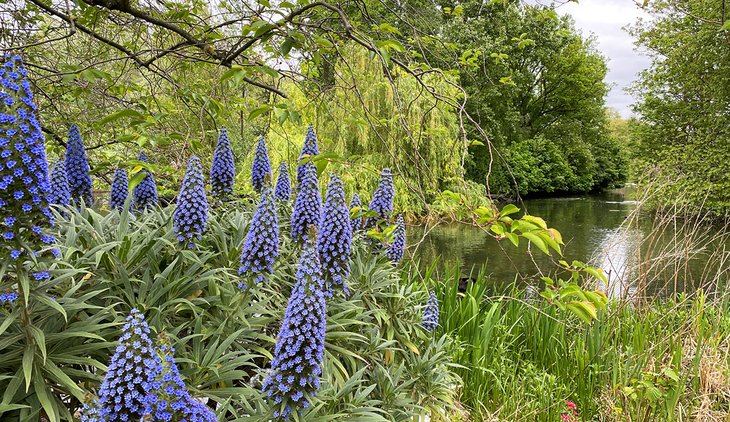 St. James's Park