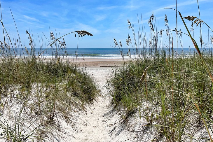 11 mejores cosas para hacer en Amelia Island, Florida