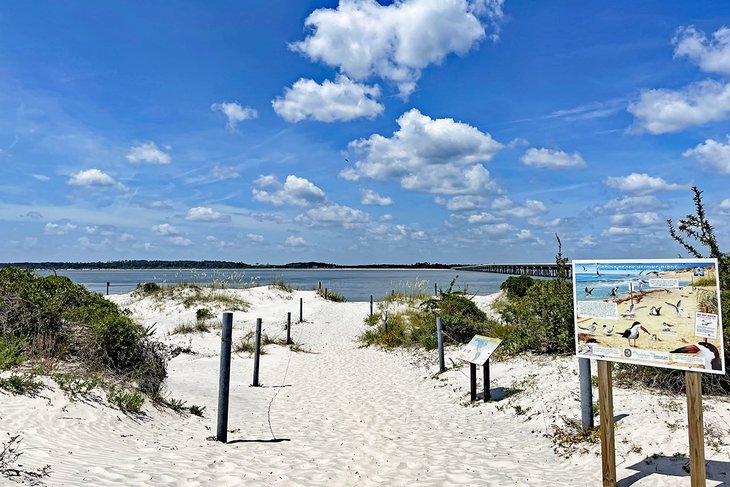 Amelia Island State Park