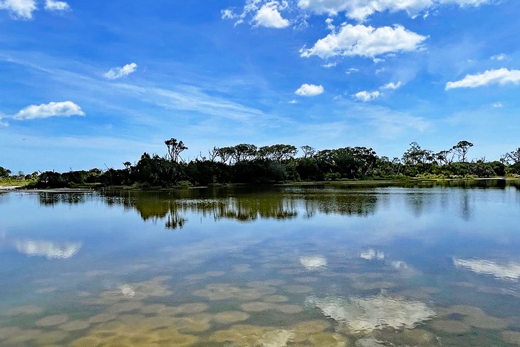 Little Talbot Island State Park