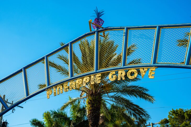 Pineapple Grove Arts District