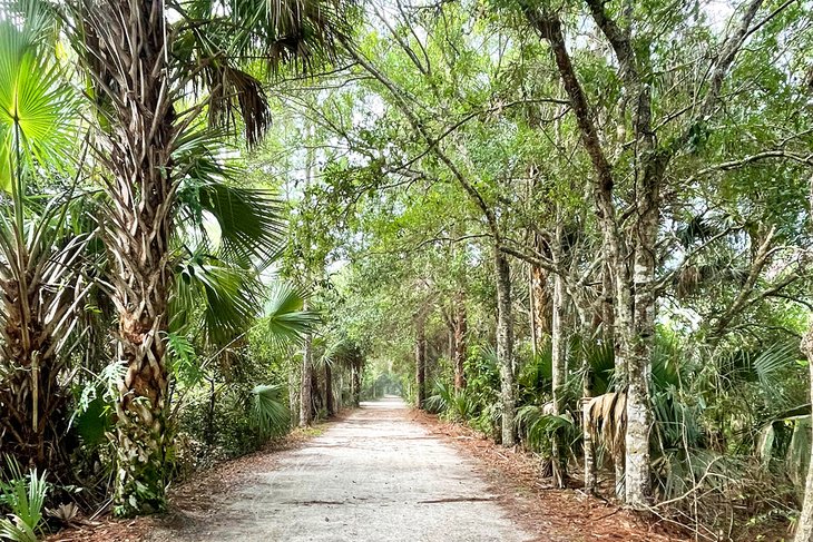 Trail in Loxahatchee River Battlefield Park