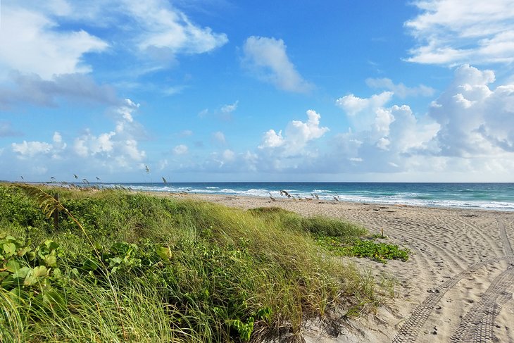 Nathaniel P. Reed Hobe Sound National Wildlife Refuge