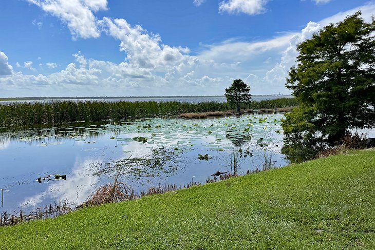 Lake Parker