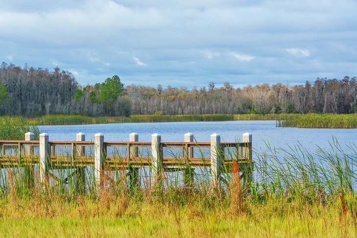 Fishing pier on Mac Lake in Colt Creek State Park