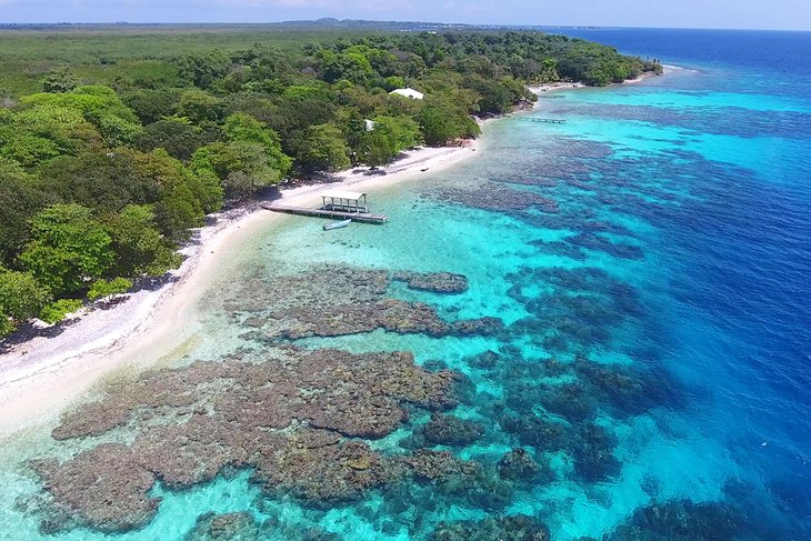 Coral reef in Utila, Honduras