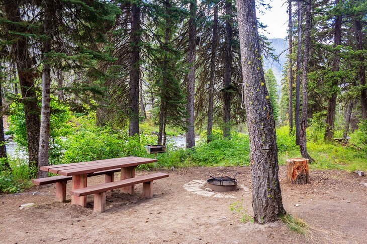 Creekside campsite in Payette National Forest