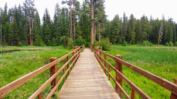 Walking bridge in Ponderosa State Park