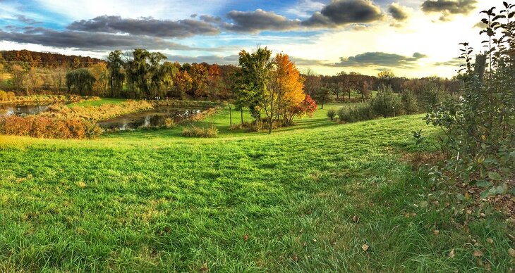 Wilson's Orchard & Farm