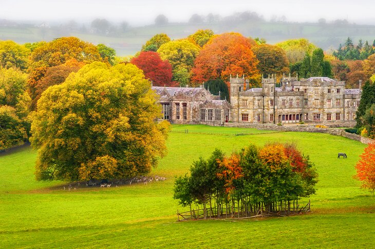 Fall colors at  Lough Fea estate, Carrickmacross, County Monaghan, Ireland