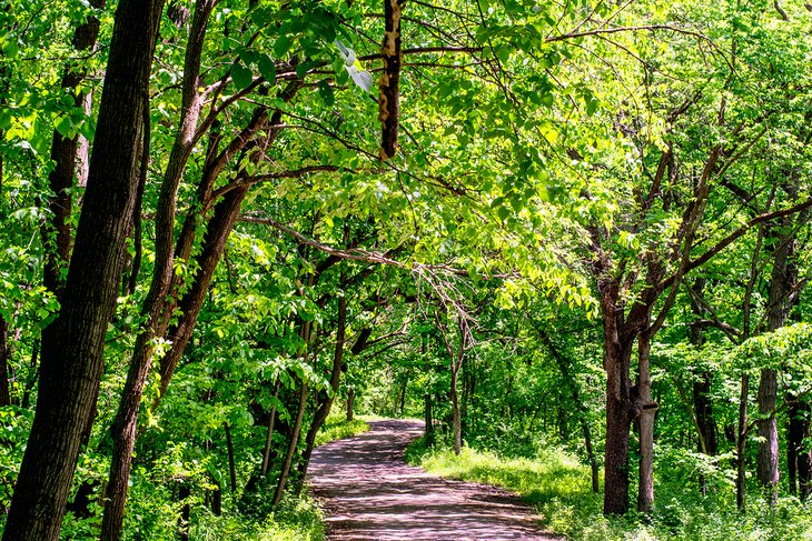 Trail in Wyandotte County Park