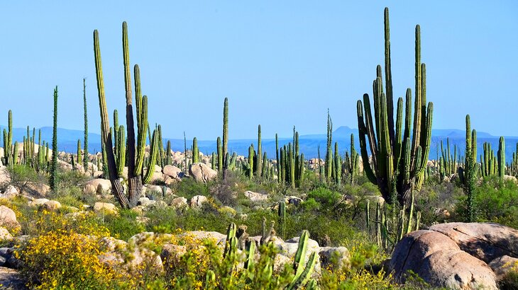 Cañon de Doña Petra Ecological Park