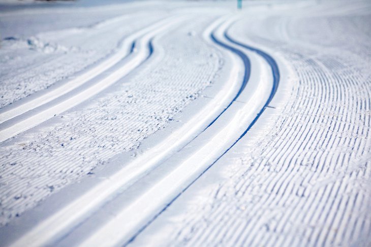 Cross country ski tracks