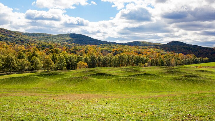 Wave Hill at Storm King Art Center