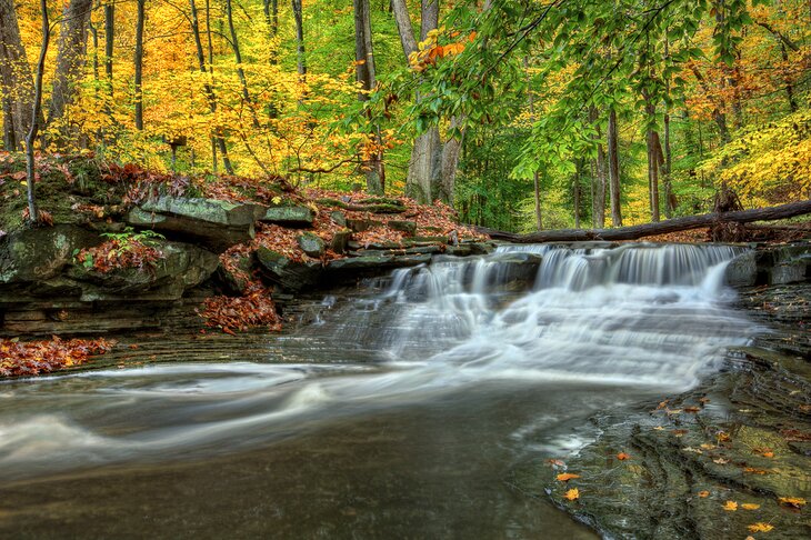 Waterfall in the South Chagrin Reservation Cleveland Metroparks