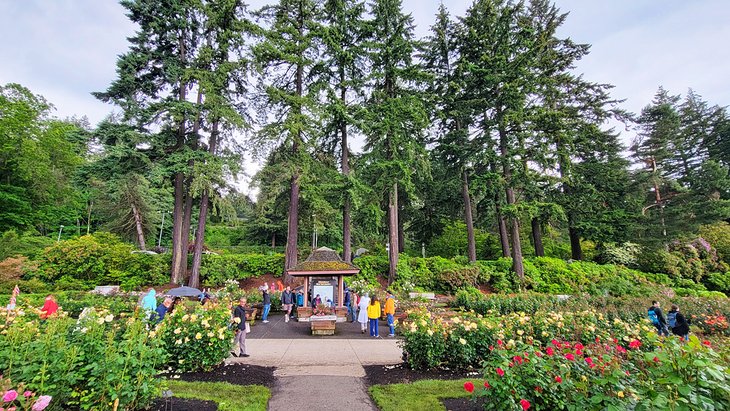 International Test Rose Garden