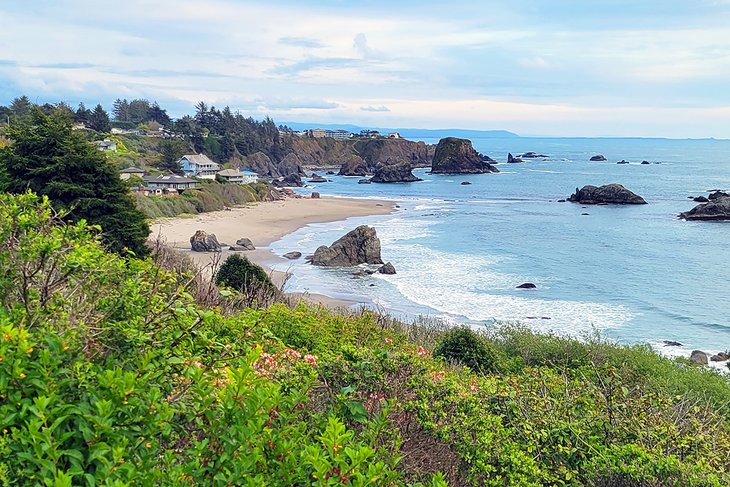 Harris Beach State Park