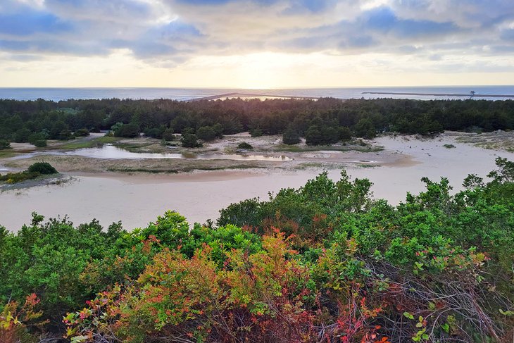 View from Umpqua River Lighthouse