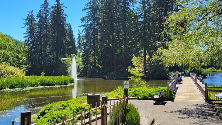 Crystal Springs Rhododendron Garden