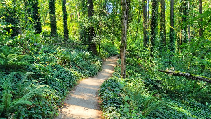 11 mejores parques en Portland, Oregón