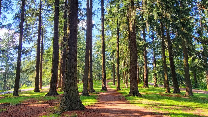 The Top 11 Parks in Portland And Oregon In 2022 Mt. Tabor Park
