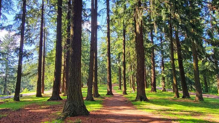 11 mejores parques en Portland, Oregón