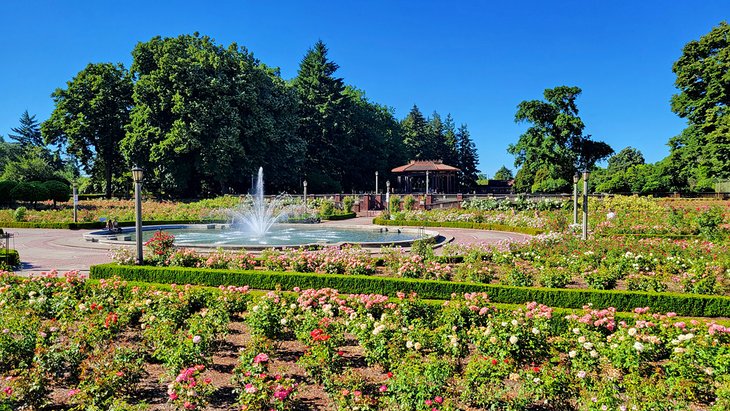 Peninsula Park Rose Garden