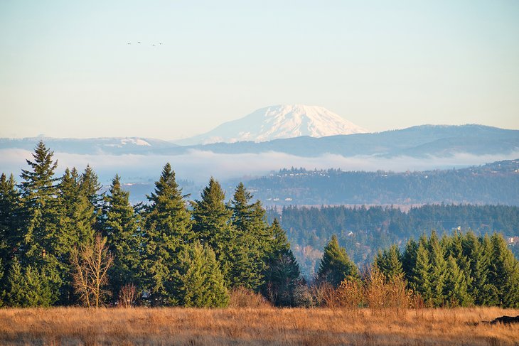 View of Mount St. Helens from Powell Butte Nature Park