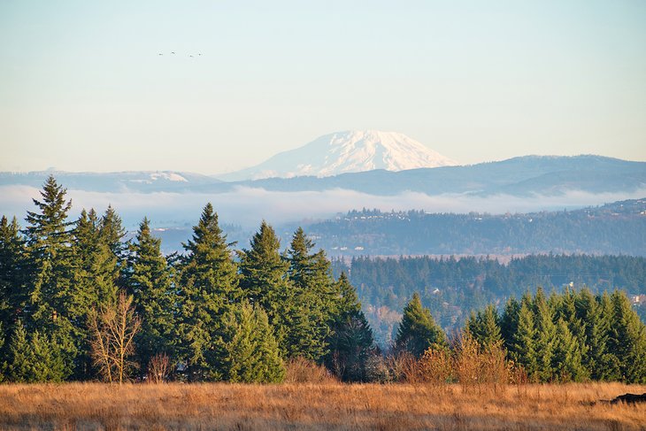 11 mejores parques en Portland, Oregón