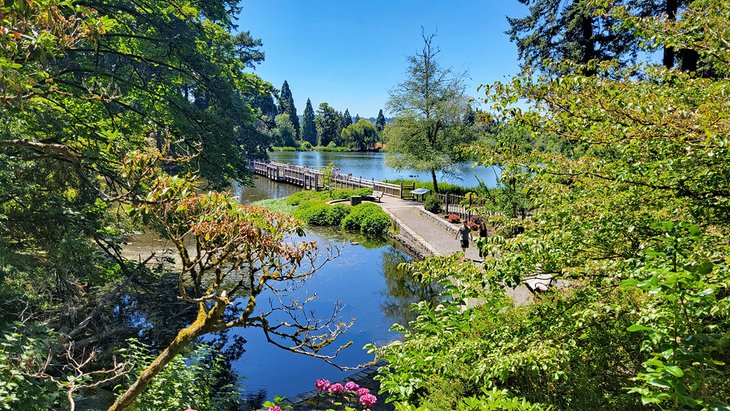 Crystal Springs Rhododendron Garden