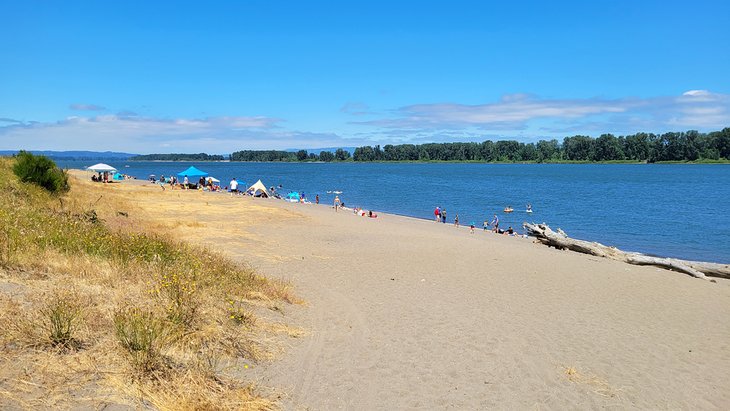 Sauvie Island Beach