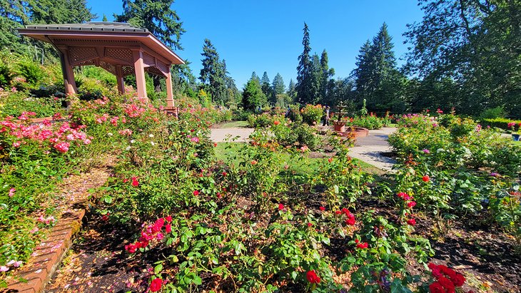 Portland International Rose Test Garden